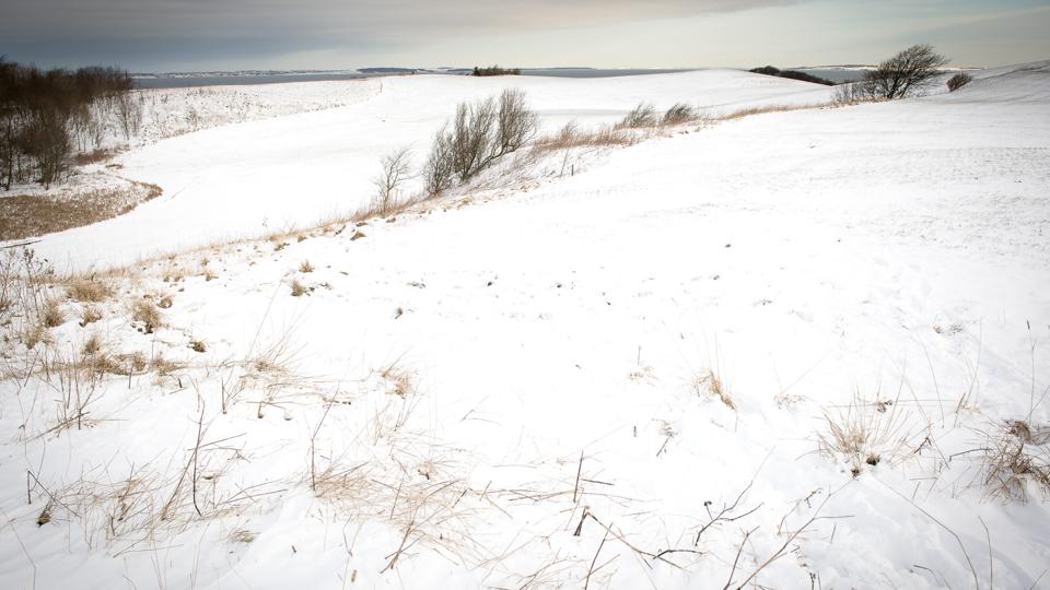 Stærhøj Øst - her ved vintertide - er ikke længere essentiel i en råstofsammenhæng, mener Enhedslisten Thy-Mors. Arkivfoto: Bo Lehm