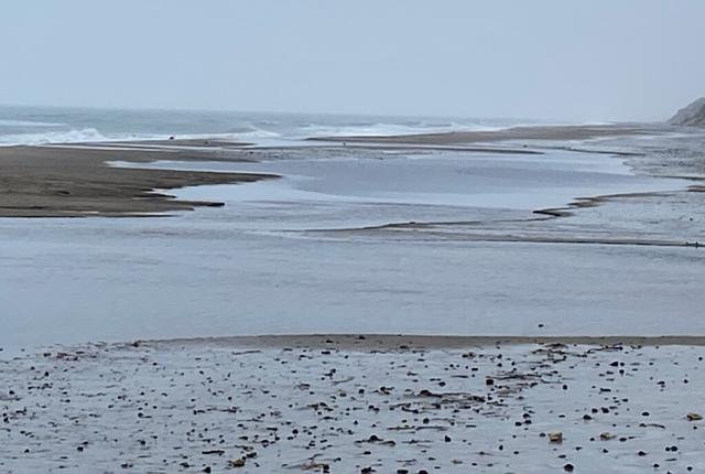 Sådan ser der ud lige nu på stranden ved Bøgsted Rende. Det er i området mellem havet og søen på stranden, at der er kviksand. Privatfoto