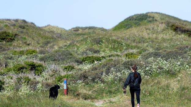 Fra p-pladsen for enden af Rævskærvej kan man nemt komme ned på stranden til et kig eller måske en svalende dukkert efter strabadserne. <i>Foto: Henrik Bo</i>
