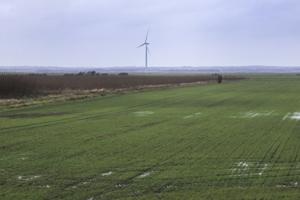 Efter borgermøde om omstridt vindmølleprojekt: S vil have stor energipark