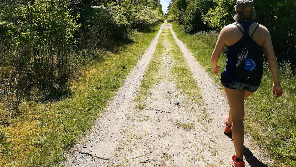 Jammerbugt og Hjørring Kommune får nogle millioner til Sti100 projektet, som der nu kan bygges videre på. Foto: Jammerbugt Kommune