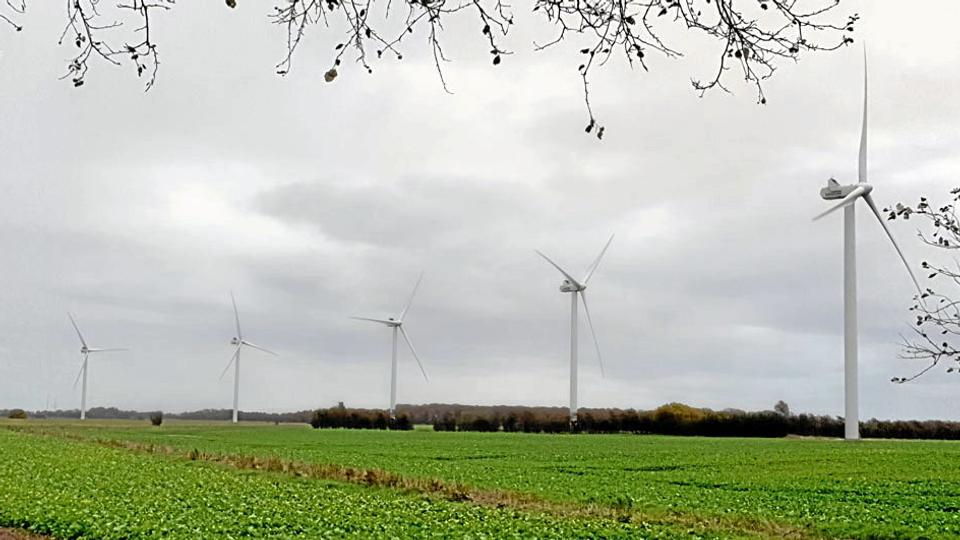 Mølleparken Skovengen Vindmøller mellem Asaa og Agersted må nu stoppe én af sine fem møller i perioder, hvor der er mange flagermus i området. Foto: Ib Lundby