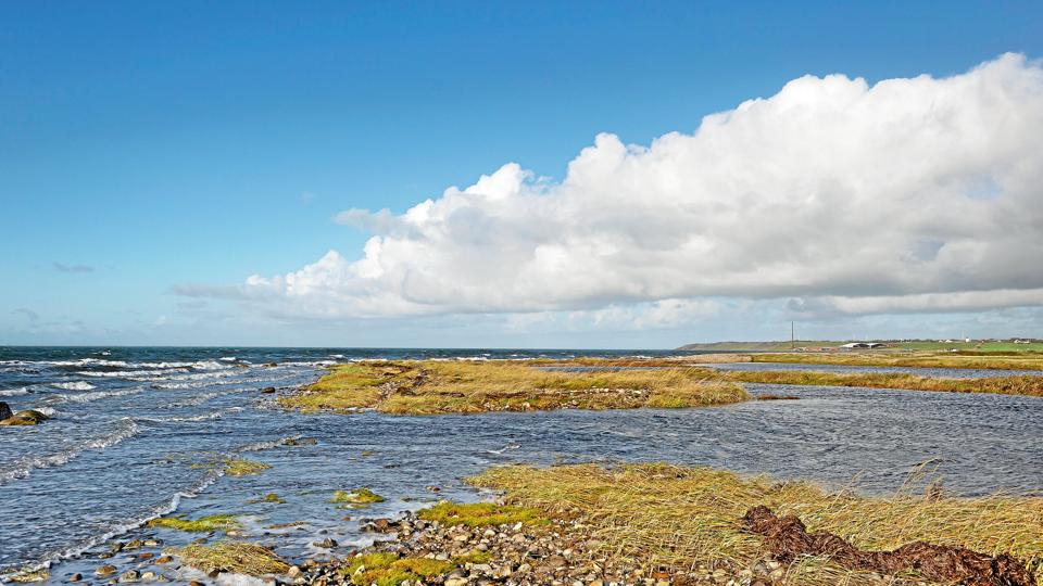 Røjensø Odde er i forslaget om at udvide Nationalpark Thy med 70 kvadratkilometer vandflade i Krik Vig nævnet som det østligste punkt. Herfra går sydgrænsen stik vest mod Thyborøn Kanal. Foto: Jens Fogh-Andersen