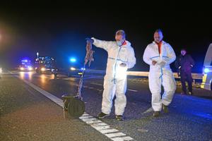 Døde mink tabt på vejene: Lastbilchauffør sigtet