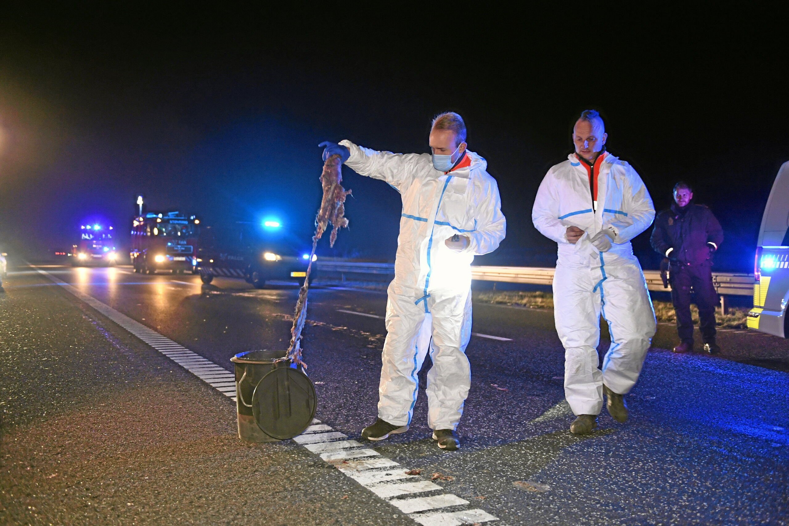 Døde mink tabt på vejene: Lastbilchauffør sigtet