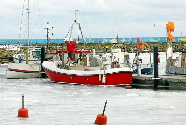 Der er efterhånden flere centimeter tykt is i havnen i Øster Hurup, og de mindre fiskefartøjer kan ikke komme på havet. Foto: Ejlif Rasmussen