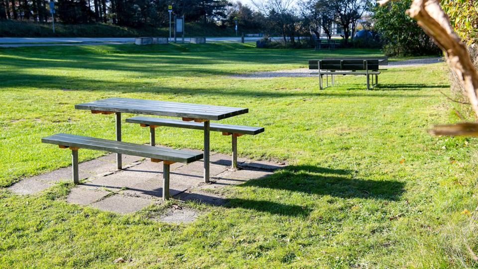 Der skal stadig være plads til græs, borde og bænke, selvom kommunen vil lave parkeringspladser på en del af arealet på hjørnet af Aalborgvej og Søren Peters Vej. Foto: Bente Poder