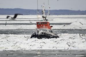 Pakis lukker Limfjorden: Slæbebåd sat til at bryde is