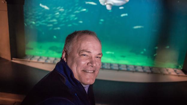 Direktør Karl Henrik Laursen, Nordsøen Oceanarium, glæder sig over, at BRN og kommunerne har fulgt opfordringen til at anvende offentlige markedsføringsmidler i 2020 for sikre at Nordjylland markedsføres. Arkivfoto: Martin Damgård