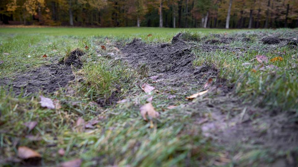 Hærværket har efterladt dybe hjulspor på Hestepladsen i Skalskoven, som Aalborg Kommune nu skal bruge tid og penge på endnu engang at jævne ud. Foto: Henrik Bo <i>Foto: Henrik Bo</i>