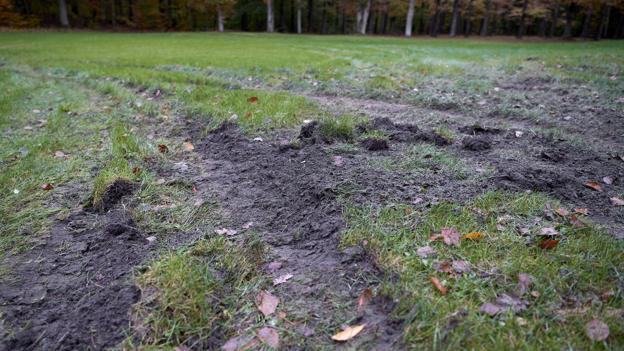 Skaderne på Hestepladsen i Skalskoven er ikke blevet mindre af regnvejret, der har efterladt skovbunden blød og let at køre op. <i>Foto: Henrik Bo</i>