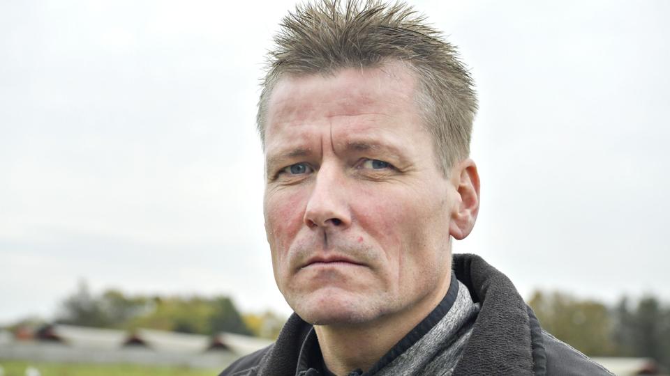 Frank Andersens mink er nu raske og har udviklet antistoffer efter at have været smittet med covid-19. Foto: Henrik Louis