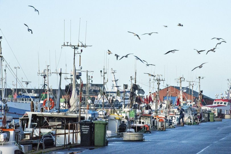 Danske fiskere presses, fordi de fortsat ikke må fiske i norsk farvand. Arkivfoto Henrik Louis