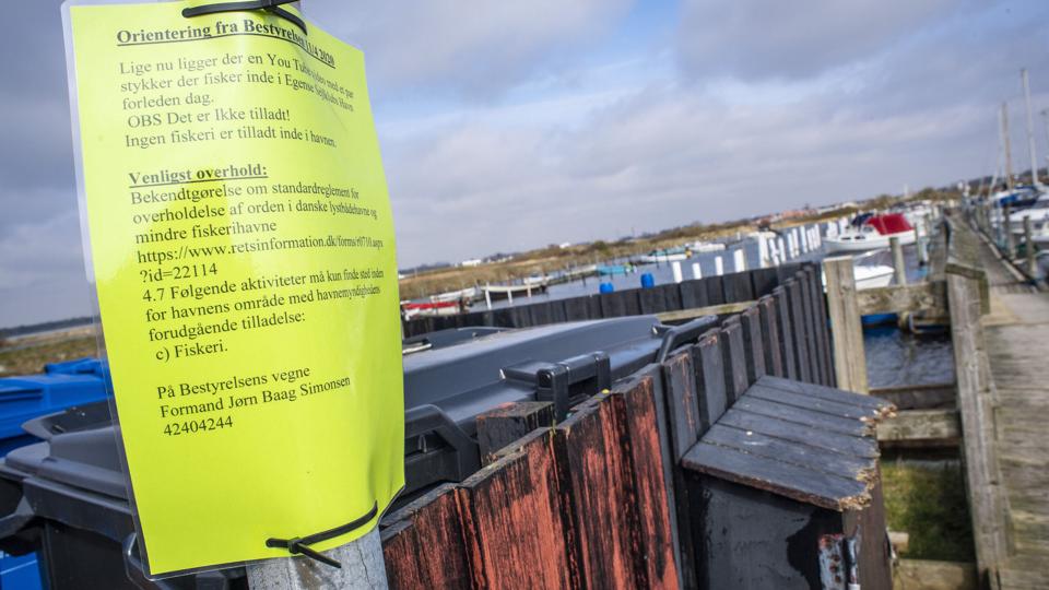 Der er dårlig stemning på lystbådehavnen i Egense - og nu heller ingen kommunale kroner at gøre godt med. Arkivfoto: Martin Damgård