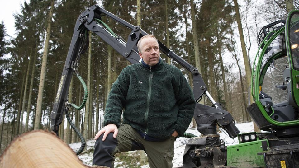 Det var en god dag i Hammer Bakker, da Naturfonden og Aalborg Kommune satte de store, larmende maskiner ind mod den mørke del af skoven i Hammer Bakke, siger Svend Lassen fra Aalborg Kommune. Foto: Henrik Bo