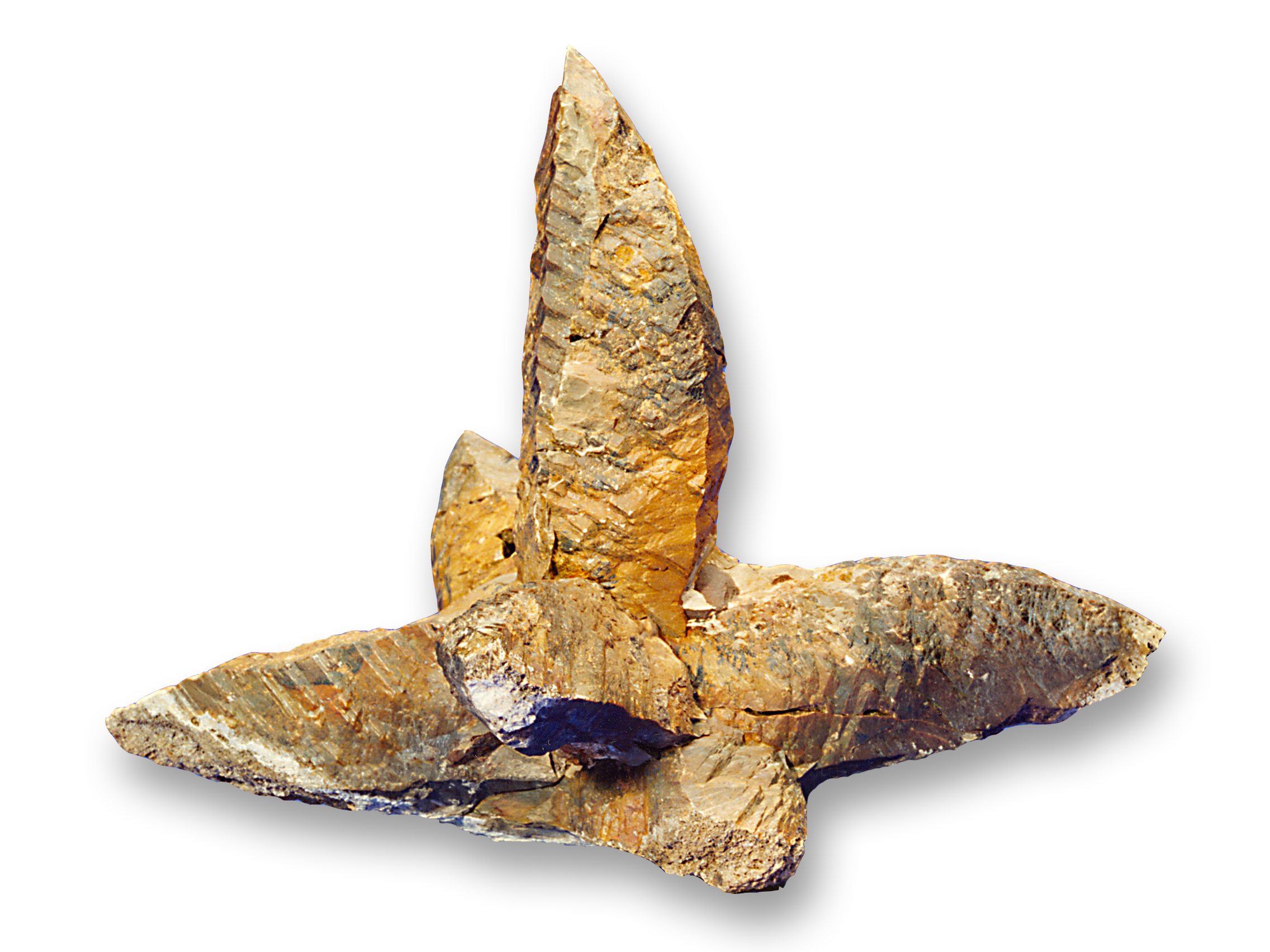 Verdens ubetinget største glendonit med en diameter på 1,6 meter blev fundet af museumsformidler Henrik Madsen fra Fossil- og Molermuseet på Mors.