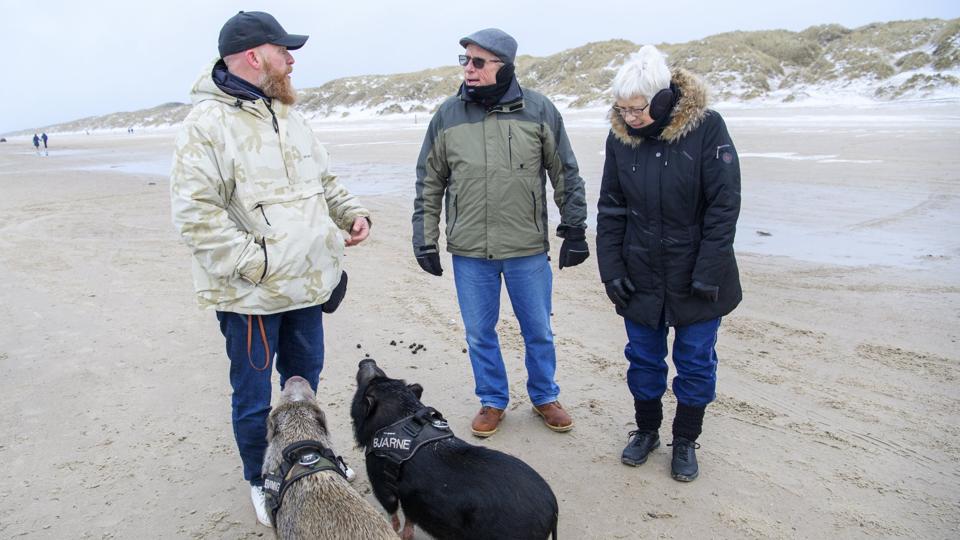 Niller Tidselbak (tv) falder altid i snak med andre, når han går tur med sine kælegrise. Folk kommer fra nær og fjern for at møde Nillers firbenede venner. Foto: Kim Dahl