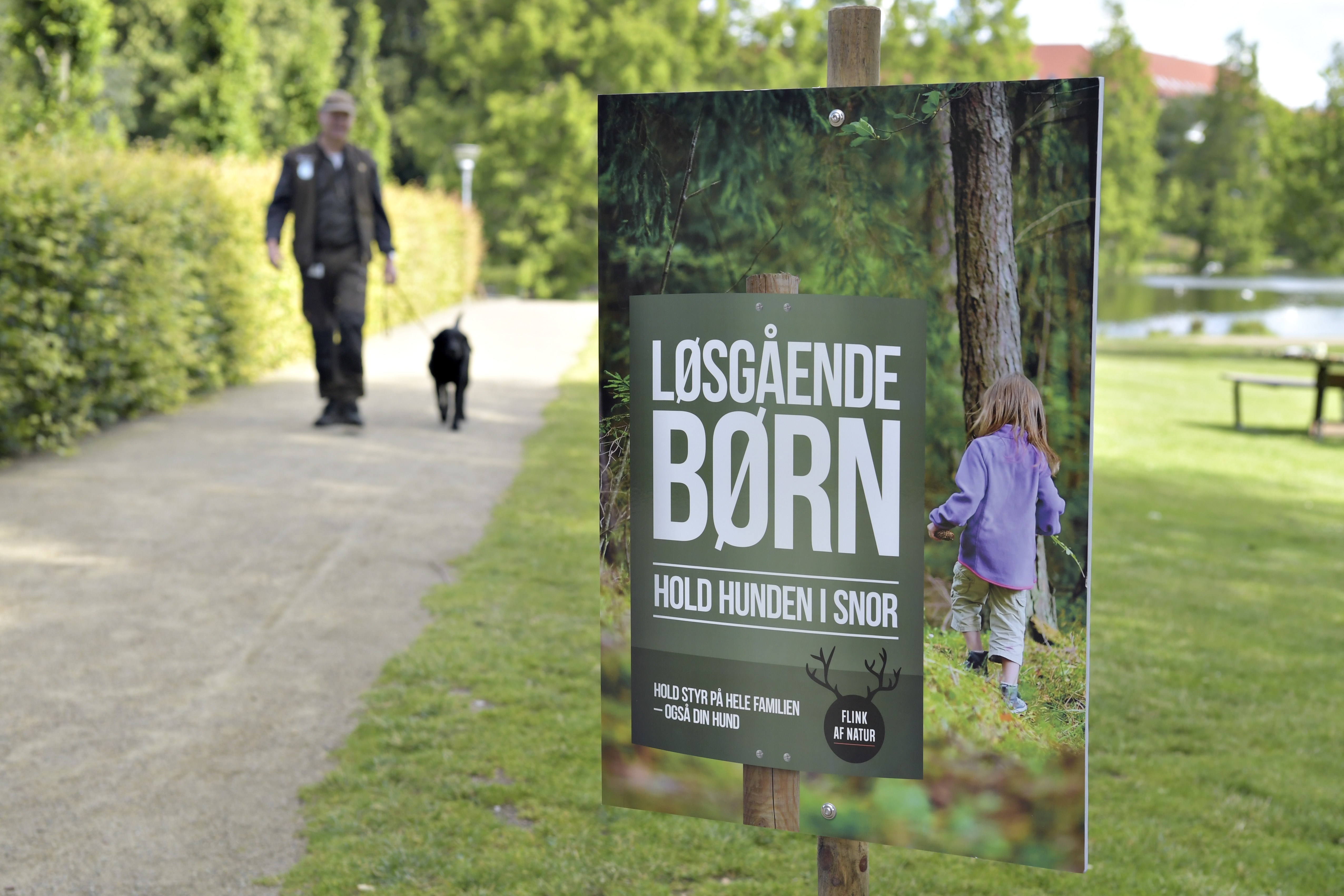 Dyr fornøjelse at lade hunden gå løs