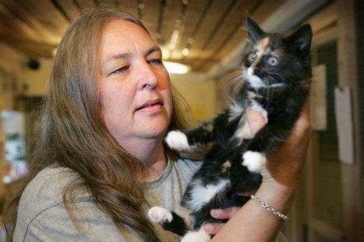 Jonna Fals, ejer af Kattehjemmet Bæklund, har en stor viden om bortløbne katte. Arkivfoto: Bente Poder