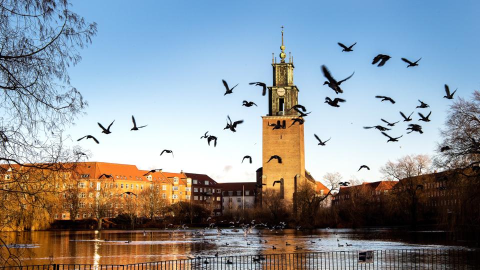 <i>Arkivfoto: Laura Guldhammer</i>