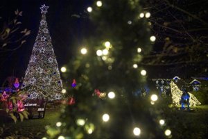 Se fotos og video: To millioner julelys tændt i park