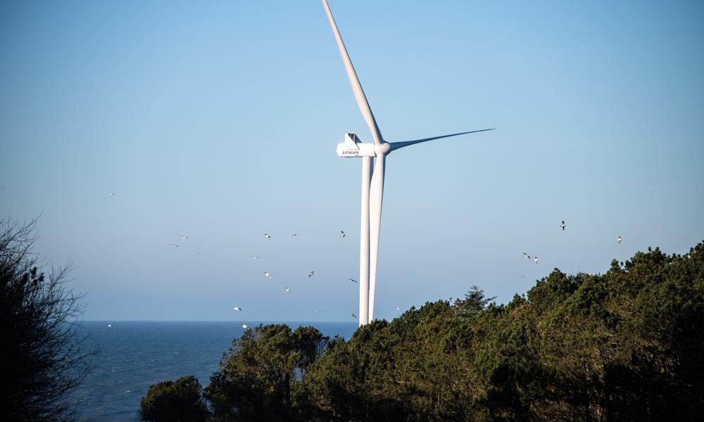 I øjeblikket står der tre møller øst for Hanstholm Havn. Tanken er, at de skal få selskab af flere. Men efter kommunen har sagt nej til at forlænge en aftale med Thy-Mors Energi om et mølleprojekt ved havnen, er der uklart, hvornår der rejses flere møller ved havnen. I øjeblikket står der tre møller øst for Hanstholm Havn. Tanken er, at de skal få selskab af flere. Men efter kommunen har sagt nej til at forlænge en aftale med Thy-Mors Energi om et mølleprojekt ved havnen, er der uklart, hvornår der rejses flere møller ved havnen.