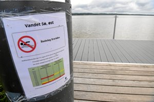 Stære skider i vandet: Slut med at bade i den østlige del af Vandet Sø