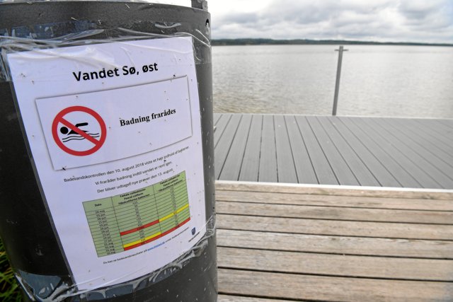Efter en periode, hvor badning i den østlige ende af Vandet Sø er frarådet, indfører Thisted Kommune nu et forbud mod badning i den del af søen. Øvrige vandaktiviteter, herunder windsurfing, kan fortsat finde sted. <i>Arkivfoto: Bo Lehm</i>