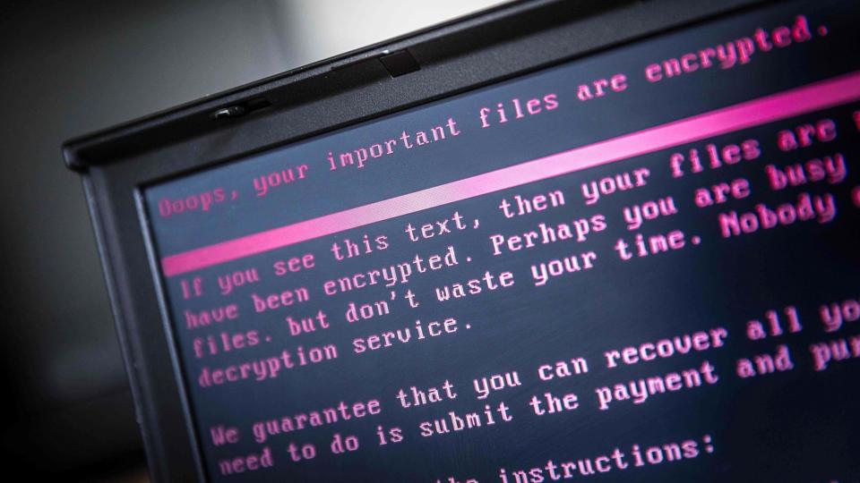 RB PLUS Udvidet cyberpoliti møder hård modstand <i>Rob Engelaar/Ritzau Scanpix</i>