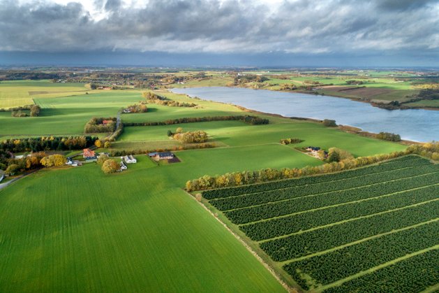Gudesmuk natur ved Hobro får et helle | Nordjyske.dk