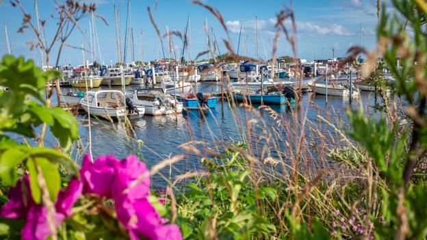 Det ser idyllisk ud i den lille havn på kanten af udsejlingen fra Limfjorden til Kattegat, men stemningen på havnen har været hadefuld. <i>Arkivfoto: Martin Damgård</i>