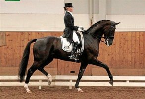 Tornby-hest udtaget til OL