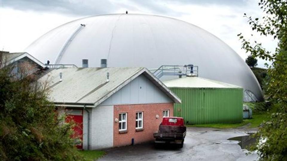 Biogasanlægget ved Vaarst er det eneste fælles anlæg i Aalborg Kommune. De øvrige er såkaldte gårdanlæg, der kun behandler gyllen fra et enkelt landbrugs husdyr.Arkivfoto: Torben Hansen