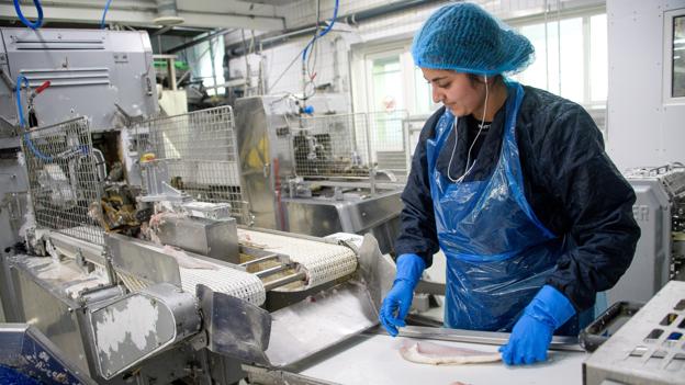 Produktionen skal køre - og det kræver strøm at holde fileteringsmaskinerne i gang og holde det nødvendige antal kuldegrader i fryse- og kølehuse - og når der bruges en million kWh årligt, kan Pandalus A/S mærke, når prisen på el ryger i fejret. <i>Arkivfoto: Bo Lehm</i>
