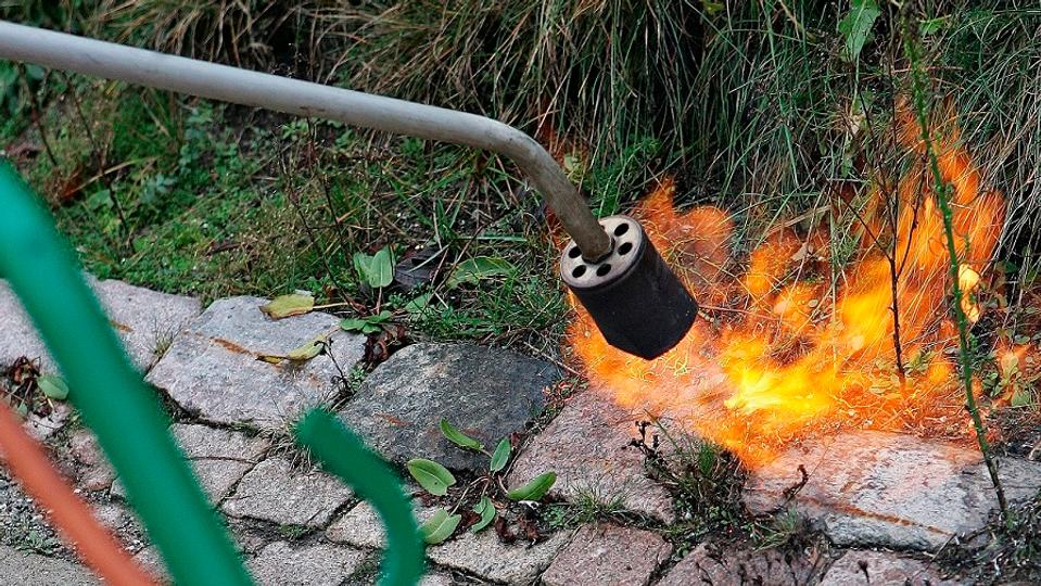 Ukrudtsbrændere - eller snarere uopmærksom brug af dem - er hvert år skyld i mange brande. <i>Arkivfoto: Grete Dahl</i>