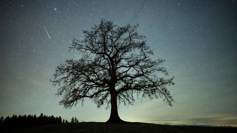 Geminides Shooting star <i>Matthias Balk/Ritzau Scanpix</i>