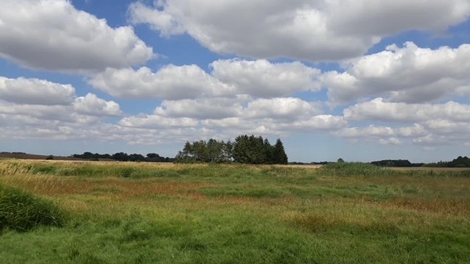 VÅDOMRÅDE KRATHOLM <i>Marta Baumane/Free</i>