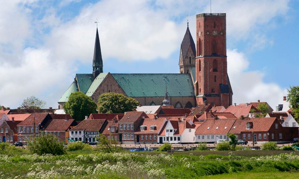 I forbindelse med renoveringen forventes Ribe Domkirke at være lukket i perioden september 2027 – marts 2029. I forbindelse med renoveringen forventes Ribe Domkirke at være lukket i perioden september 2027 – marts 2029.
