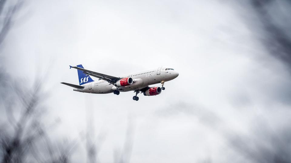 PLUS Klimaråd vil have mindre kød og færre fly <i>Mads Claus Rasmussen/Ritzau Scanpix</i>