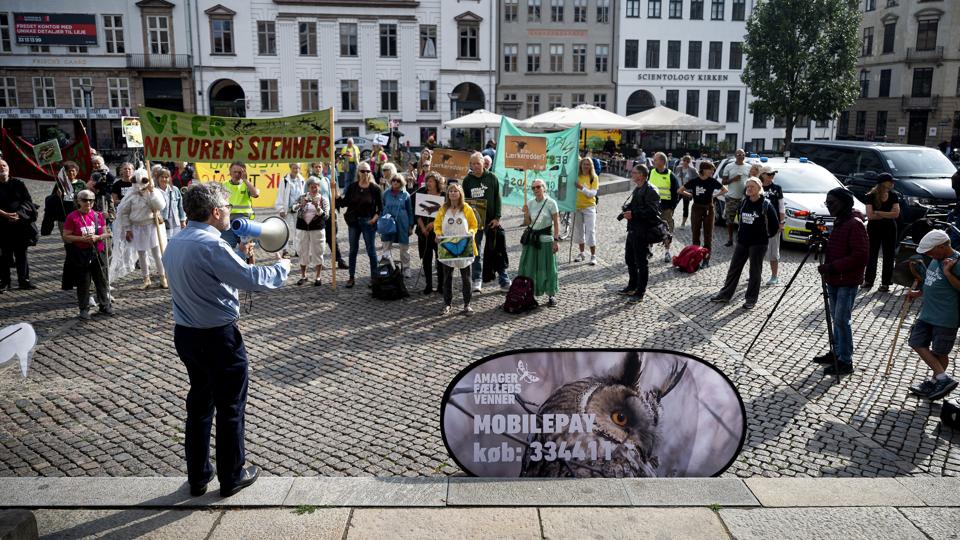 Retsmøde om byggestop på Amager Fælled <i>Ida Guldbæk Arentsen/Ritzau Scanpix</i>