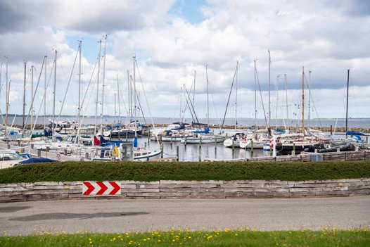 Udsigt direkte til vandet - det er den udsigt der venter de nye boliger. <i>Foto: Kim Dahl Hansen</i>