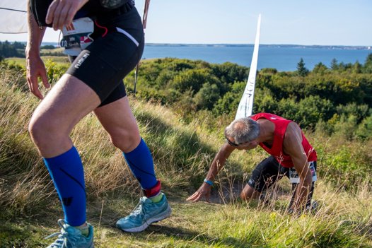 Deltagerne skal igennem forskellige prøvelser i det bakkede landskab på øen i Limfjorden, der 10. september kan vise sig at blive deres overmand. <i>Foto: Henrik Bo</i>