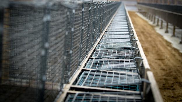 Minkburene er tomme - og har været det længe. Derfor undrer det formanden for Nordjyllands Pelsdyravlerforening, Ole Bakke, at der nu kommer en dokumentarudsendelse, der sætter fokus på forløbet op til aflivningen af alle landets mink. <i>Foto: Bo Lehm</i>