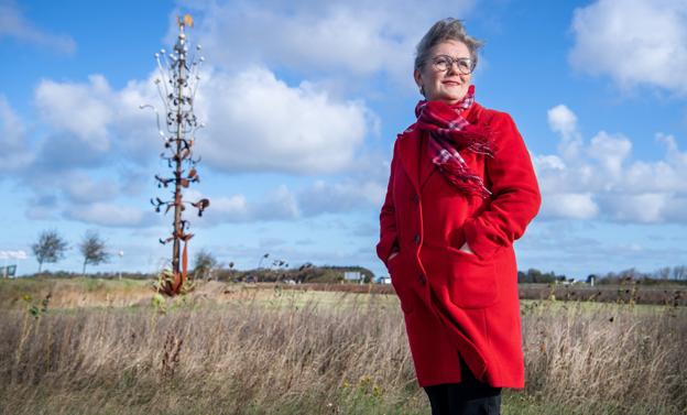 - Vi har politisk ikke kunnet beskytte godt nok, siger Diane Aarestrup (S) oven på sagen om anklager mod forvaltningsledelsen. <i>Arkivfoto: Torben Hansen</i>