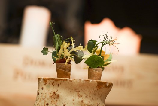 Miniature-vaffel med røget krondyrkølle, spæde urter og en sennepsvinaigrette <i>Foto: Claus Søndberg</i>