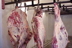 Fødevarestyrelsen lukker ulovlig slagter ved Sæby