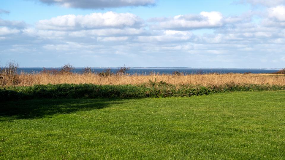 Der er flertal i byrådet for, at dette grønne areal i Løgstør skal friholdes for boliger. I løbet af denne valgperiode bliver der lavet et kommuneplantillæg, som kan sikre det. Arkivfoto: Laura Guldhammer
