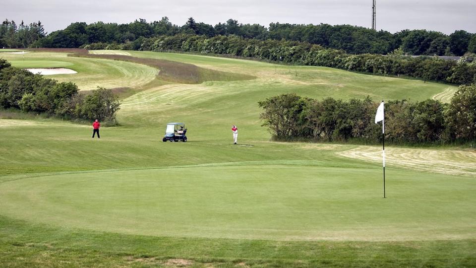 Den gode sommer var hård ved de millioner af græsstrå, der udgør golfbanen ved Hvalpsund. Og regningen ser større ud, end klubben vurderer at kunne betale, lyder det i en bøn til kommunen. Arkivfoto: Torben Hansen