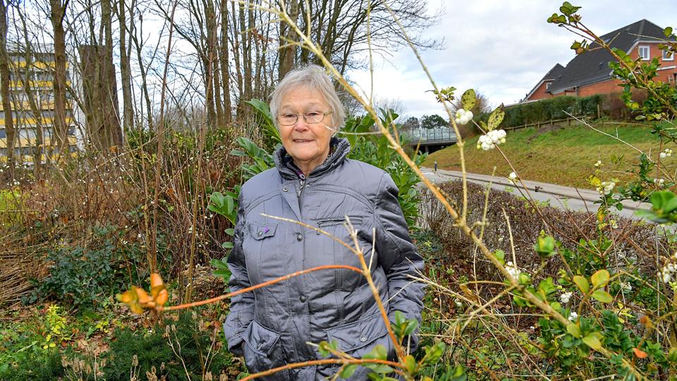 Motorvejens støjskærm kan ses lige bag Anne Lise Christensen. Den gjorde en stor forskel. Foto: Jesper Thomasen <i>Jesper Thomasen</i>