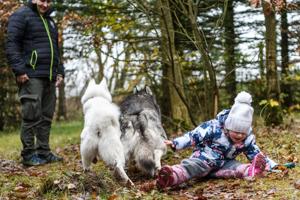 Galleri fra en stor dag: 20 hunde mødte frem til indvielse af ny hundeskov